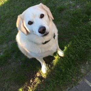 Meet your Posher, Sue